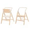 Стул для кормления CARRELLO Ergo CRL-16701 pine green /1/ MOQ